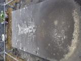 image of grave number 749844